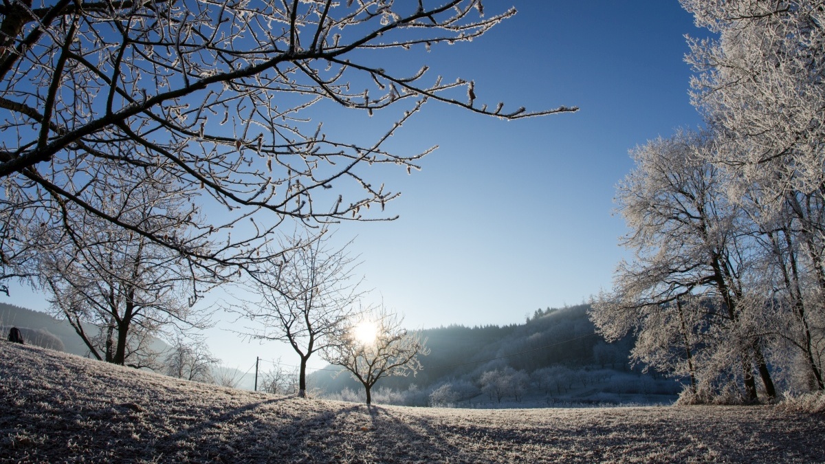 prima, der Nebel hat sich verzogen