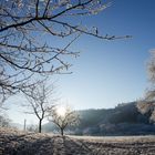 prima, der Nebel hat sich verzogen