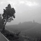 Prima nebbia