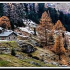 prima neve in val gerola