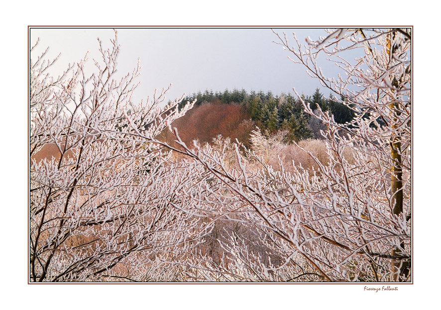 ...PRIMA NEVE NELLA MIA VALLE...2