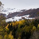 Prima neve sul foliage