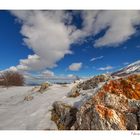 Prima passeggiata dopo tutta quella neve