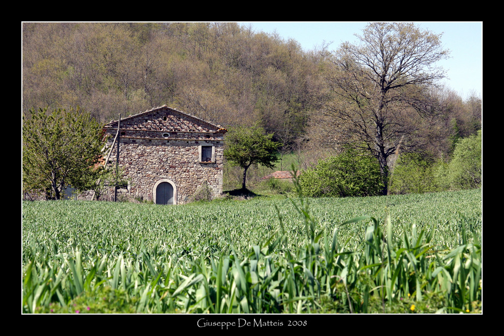 PRIMAVERA 2008