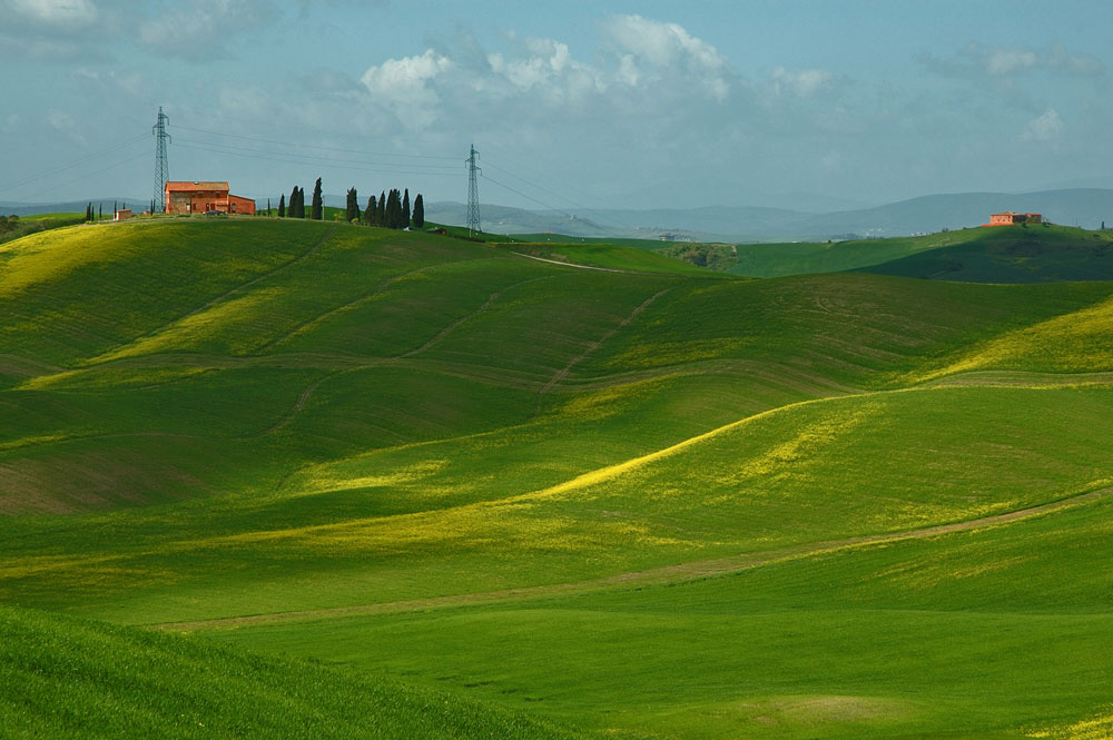 Primavera