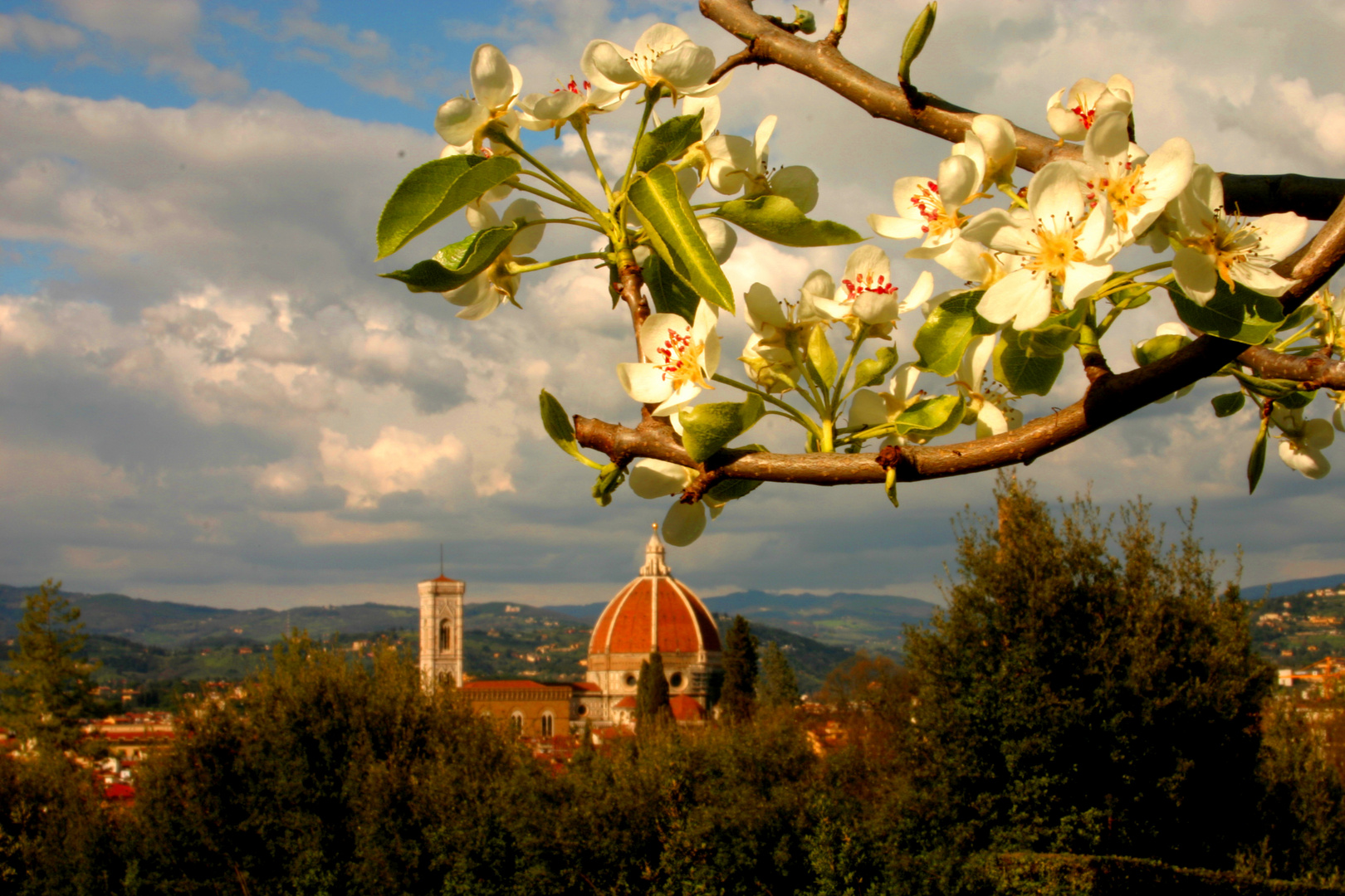 Primavera a Firenze