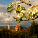 Primavera a Firenze