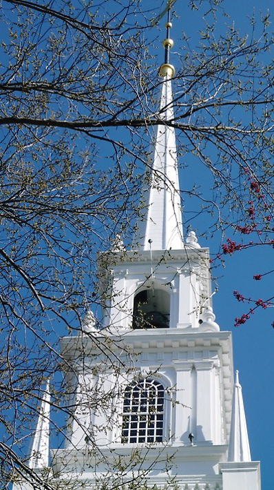 Primavera a Harvard