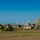 PRIMAVERA A LENDINARA