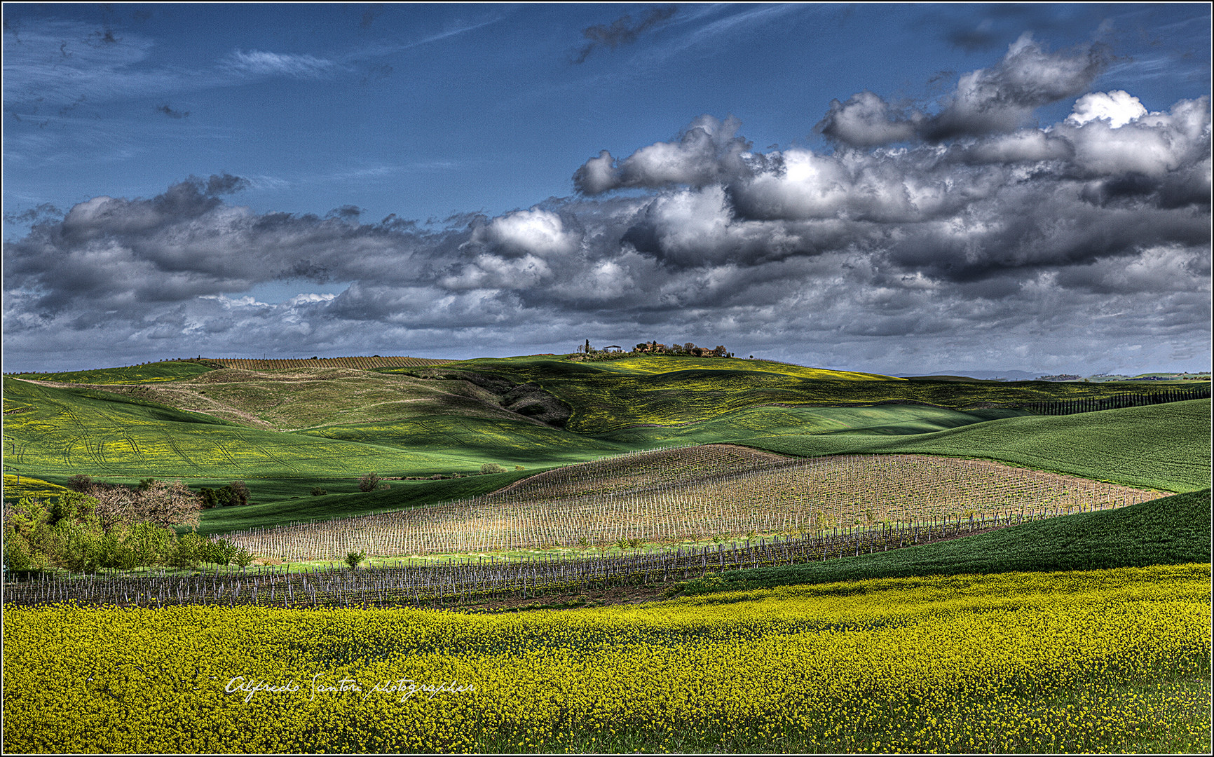 Primavera a Montalcino