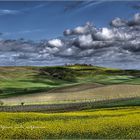 Primavera a Montalcino