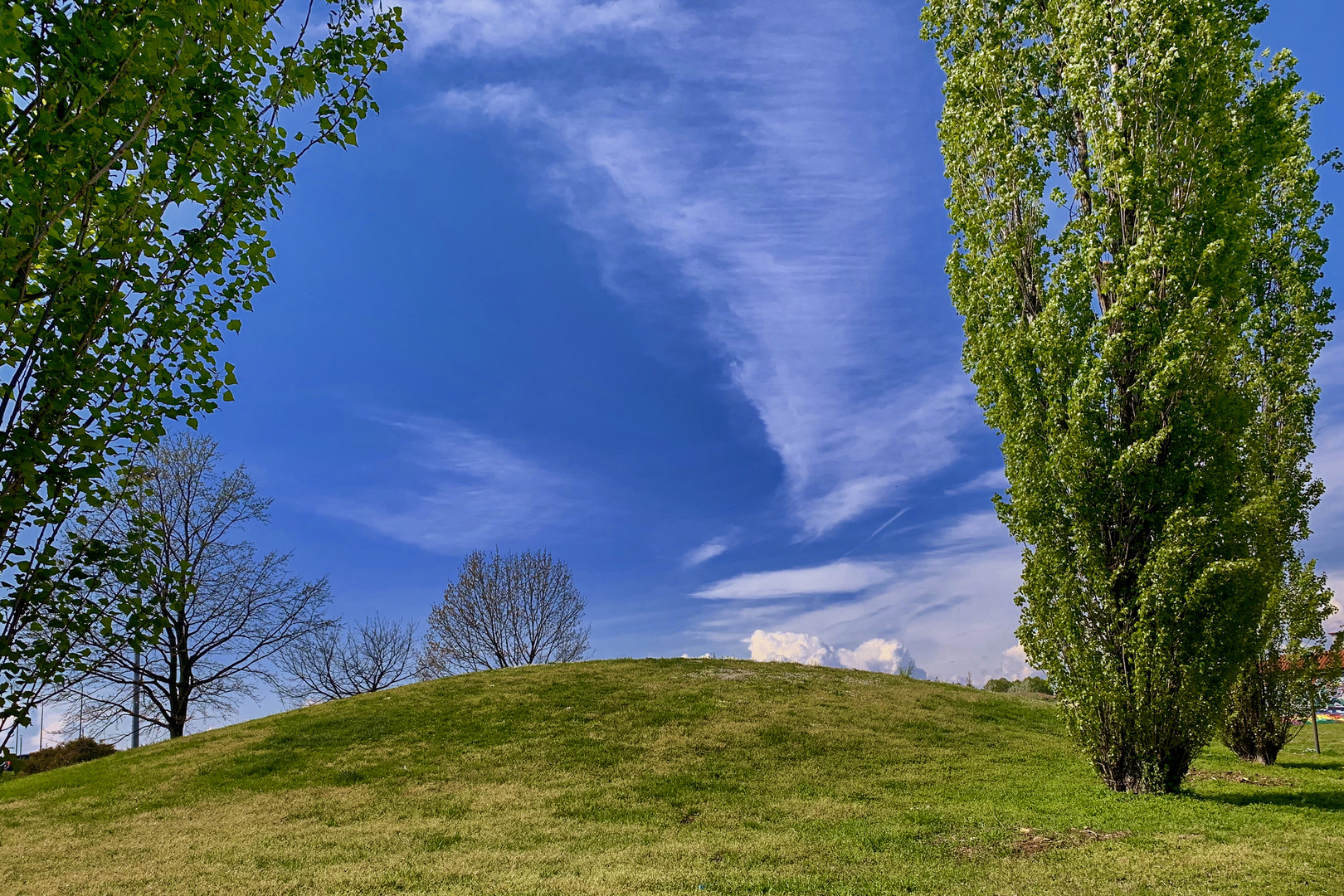 Primavera a Pioltello