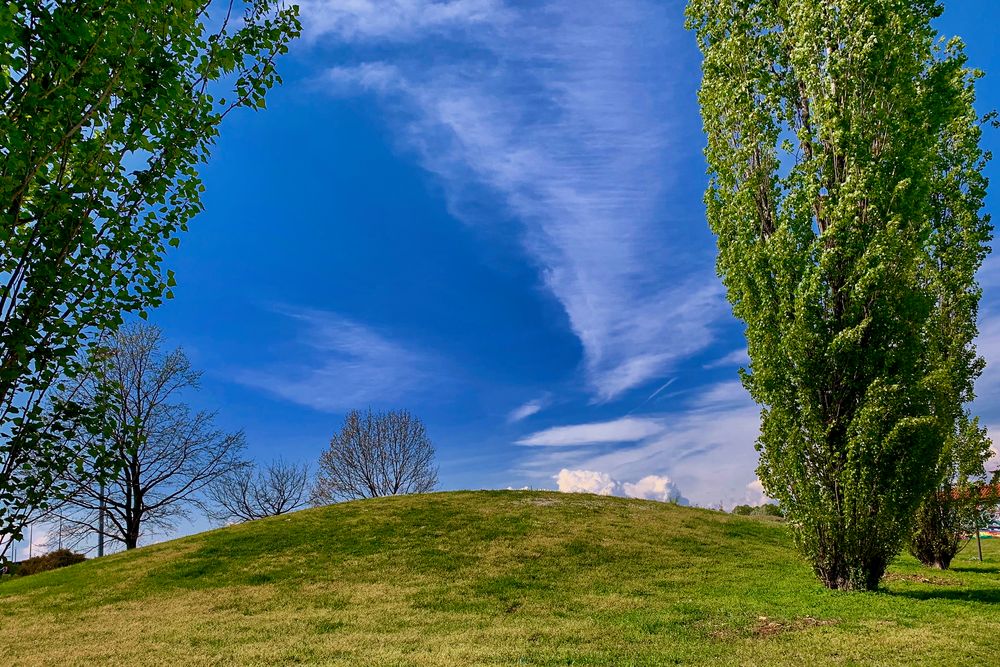 Primavera a Pioltello