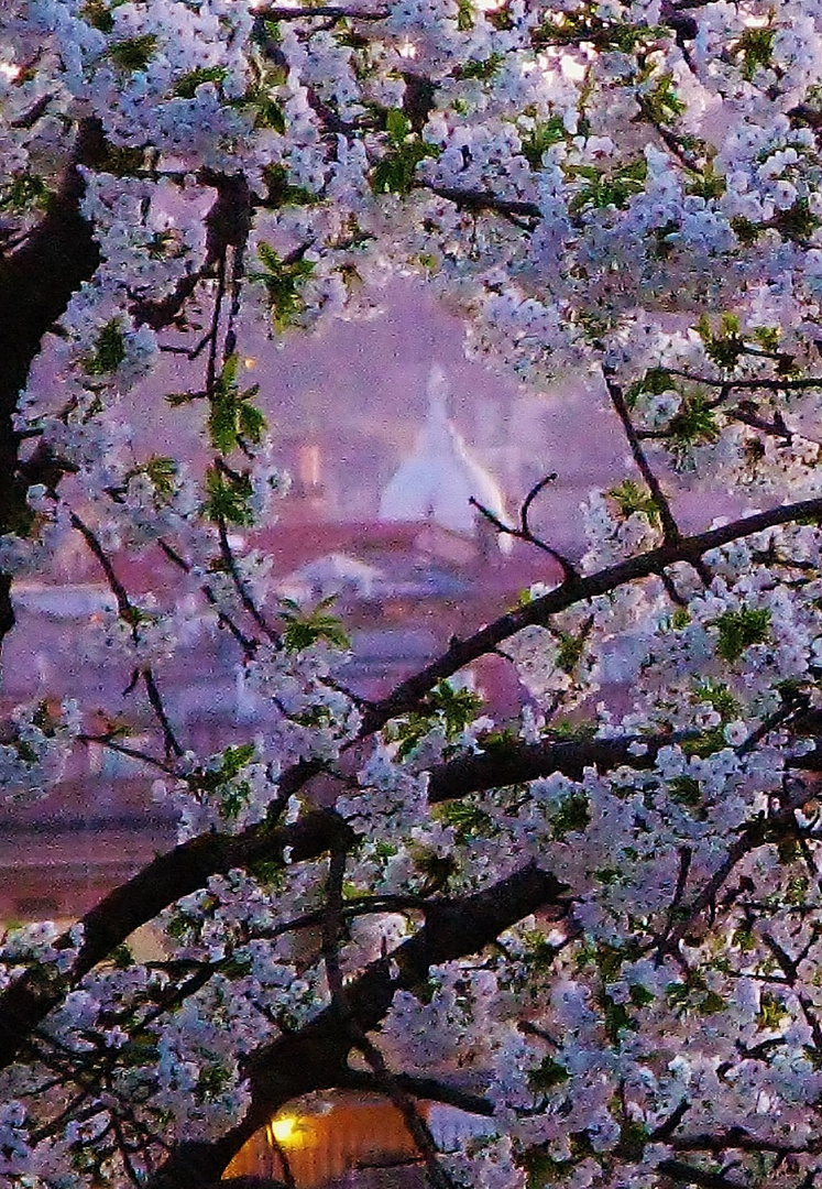 primavera a Roma