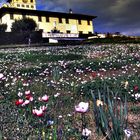 Primavera a Villa Petraia (Firenze)