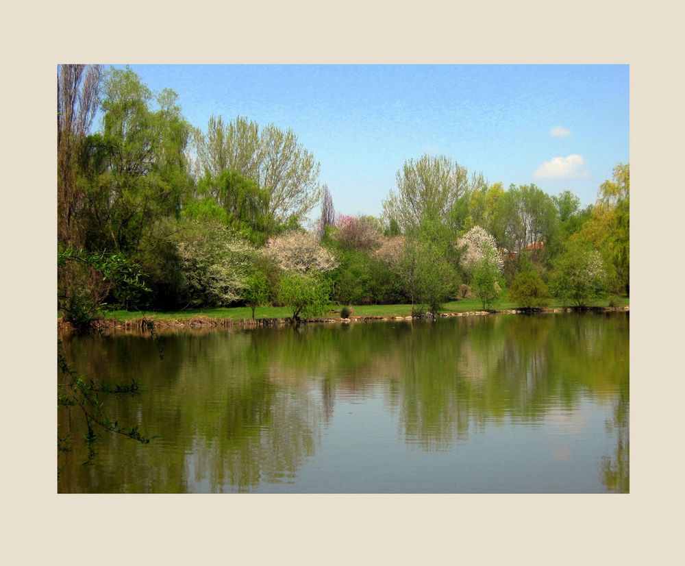 Primavera al parco del Menago...