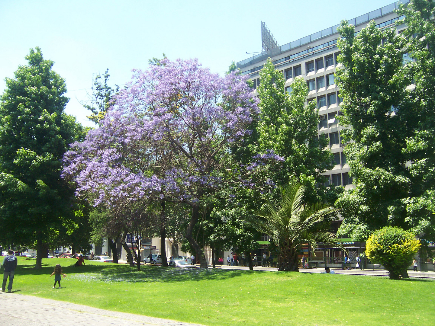 Primavera Alameda Bernardo O´higgins