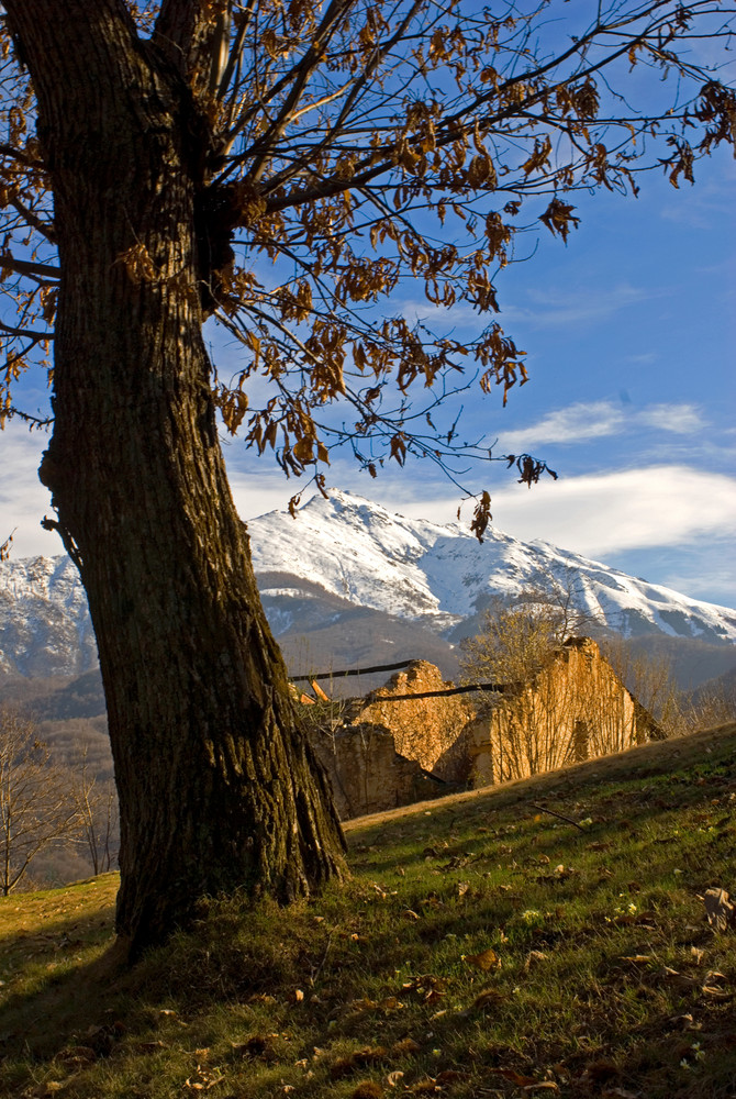 Primavera alle pendici della Bisalta