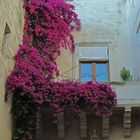 .....Primavera Barocca.....(Lecce)