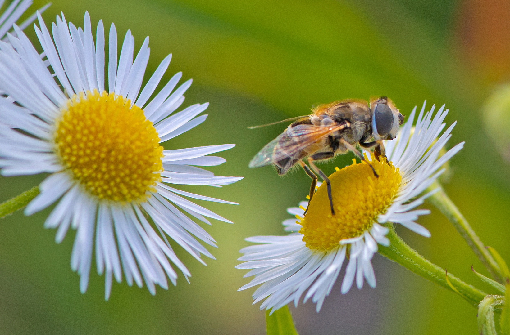 È primavera e comincia il nostro lavoro