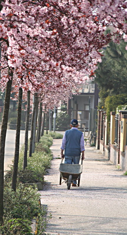 Primavera e Uomo con carriola