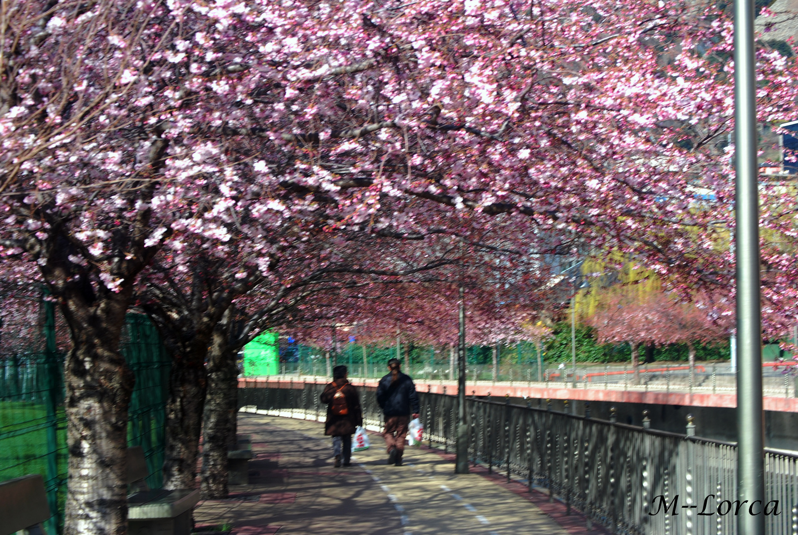 primavera en andorra   paseo parke central       con compra incluida