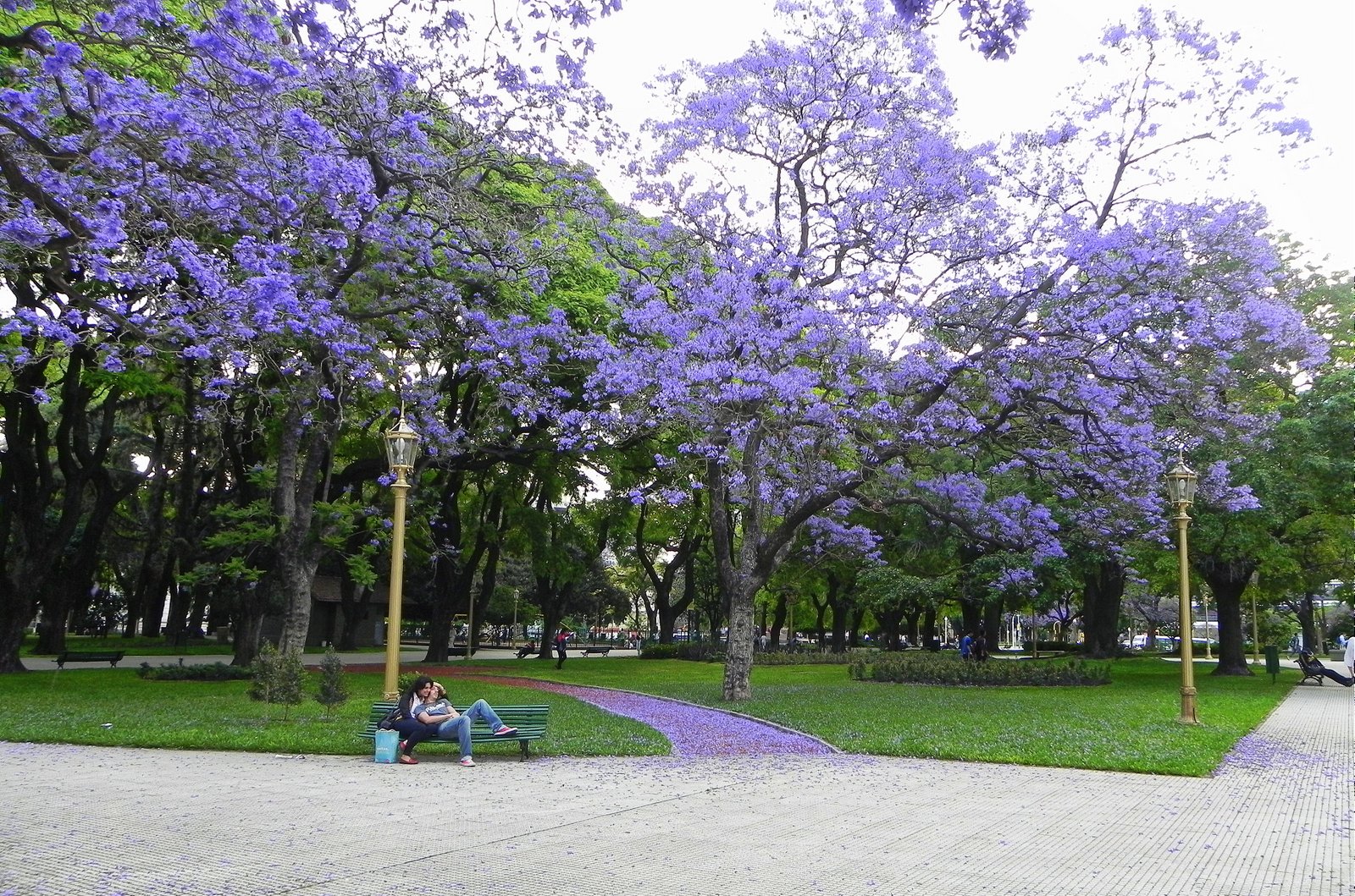  Primavera en BUENOS AIRES