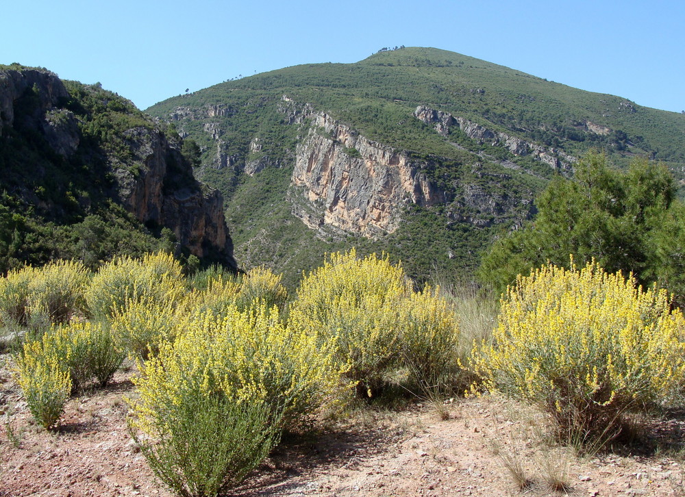 Primavera en Calles (Valenciana)..05