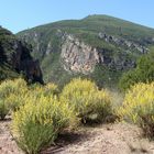 Primavera en Calles (Valenciana)..05