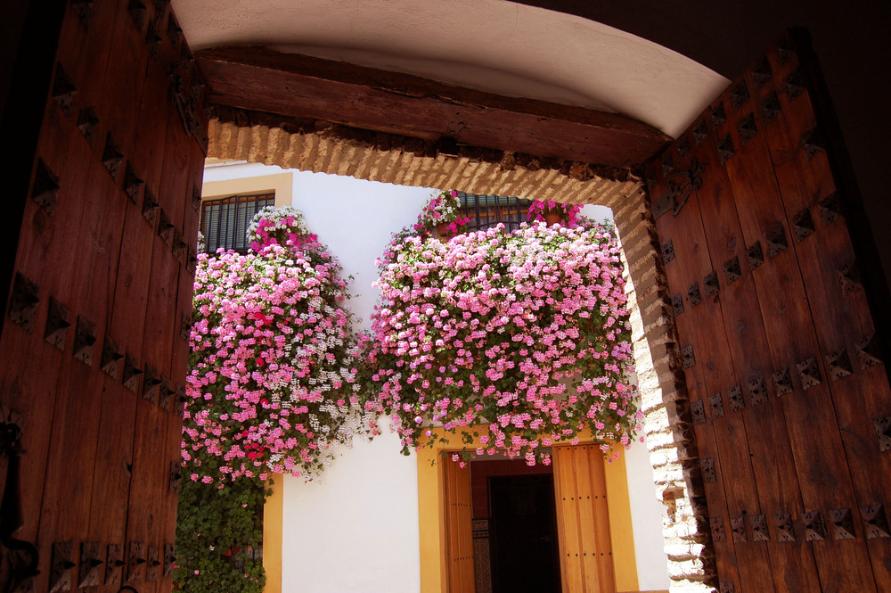 primavera en Córdoba