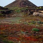 Primavera en el volcán