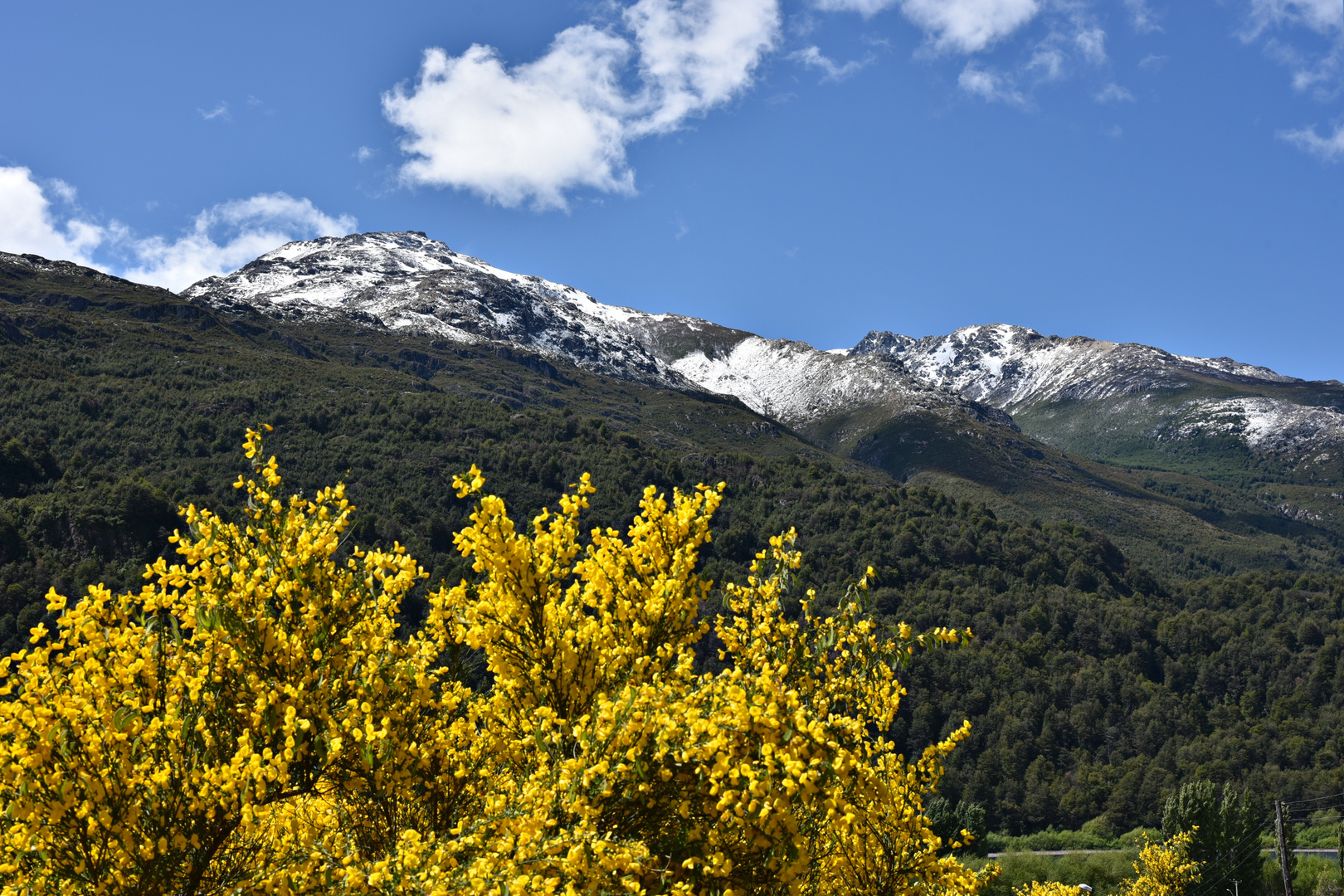 primavera en Futaleufú