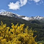 primavera en Futaleufú