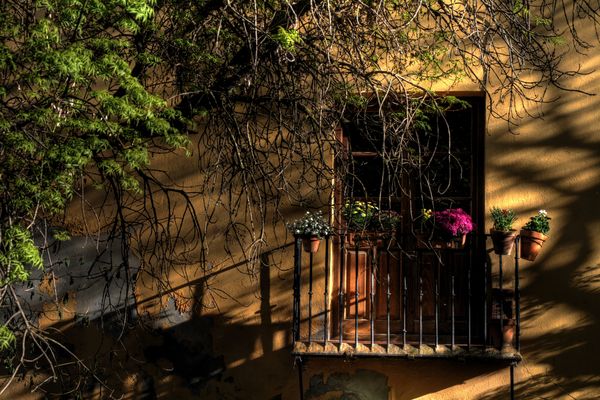 Primavera en Granada