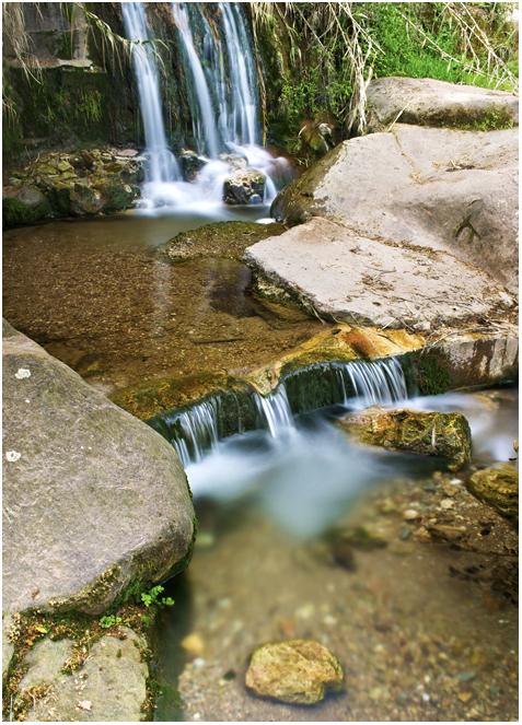 Primavera en la cascada II