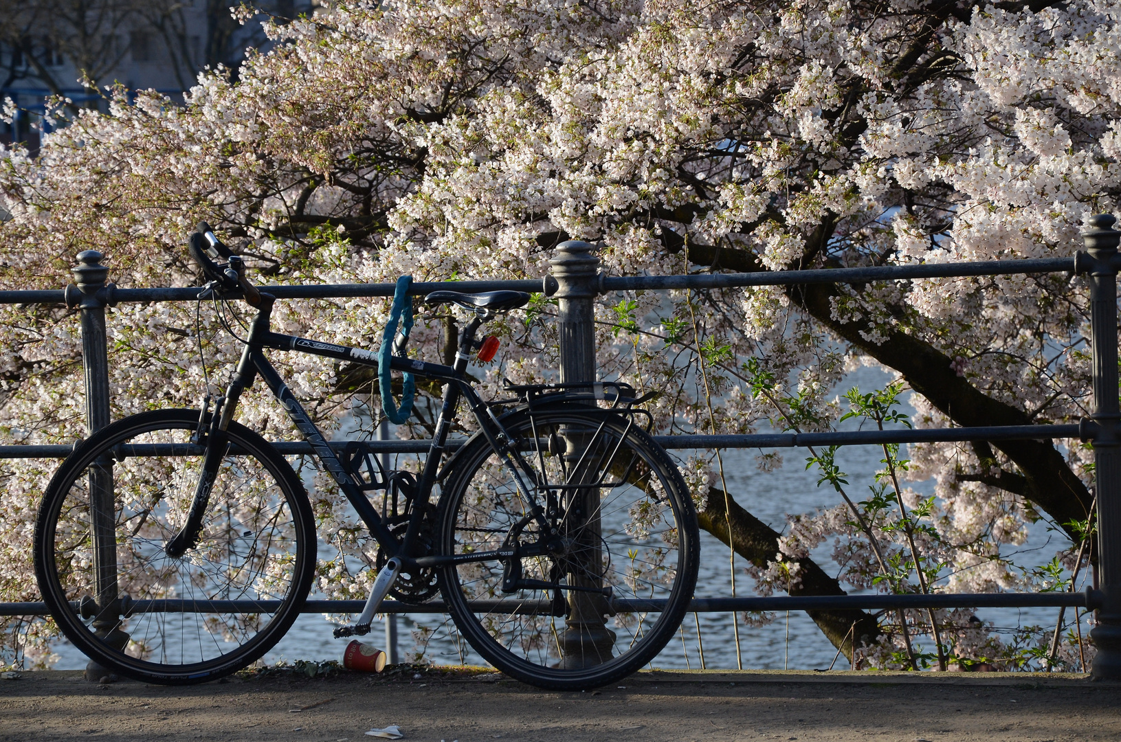 Primavera en la ciudad