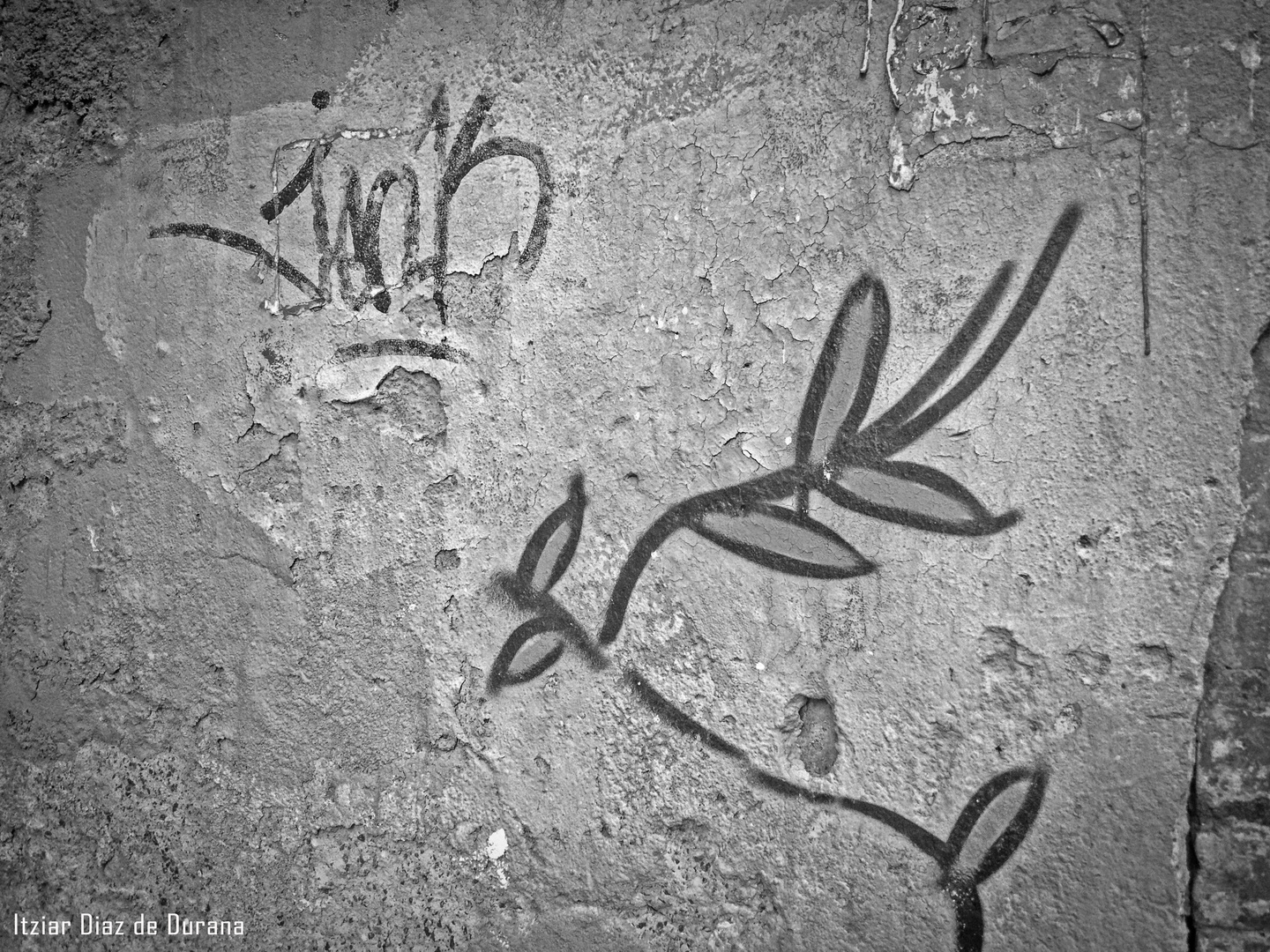 Primavera en la Pared