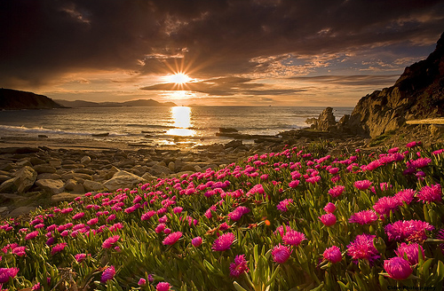 Primavera en la playa