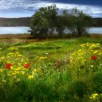 primavera en lagunas de Ruidera