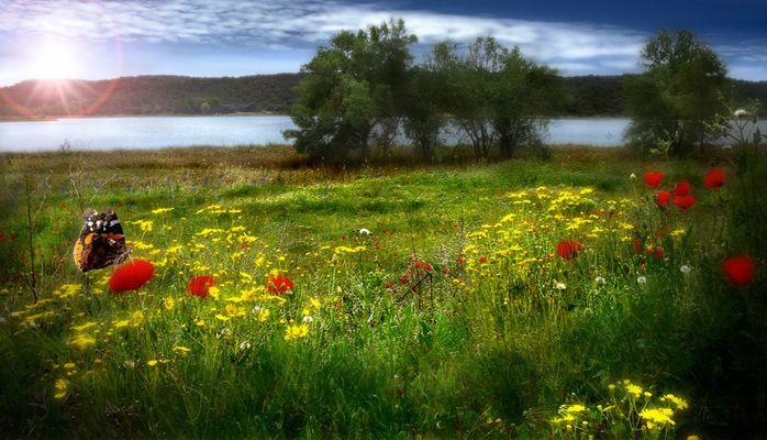 primavera en lagunas de Ruidera
