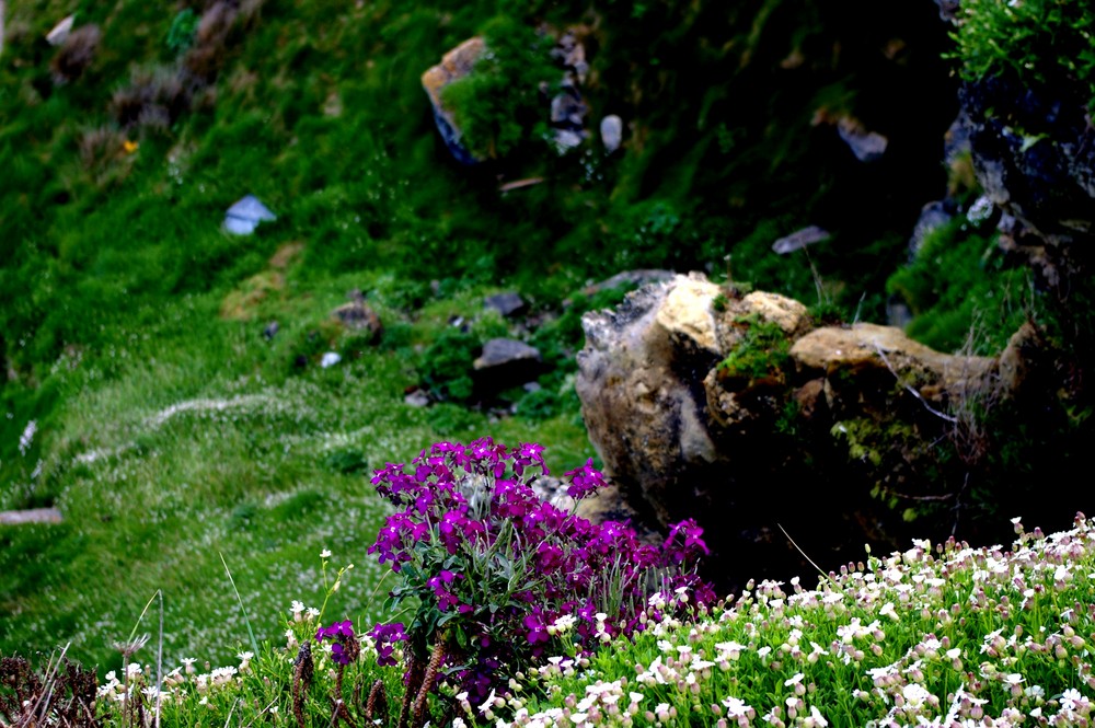 Primavera en plena naturaleza