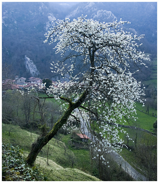 Primavera en Sobrefoz