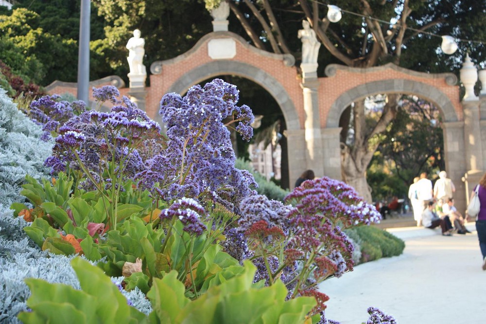 Primavera en Sta Cruz de Cesar Domingo