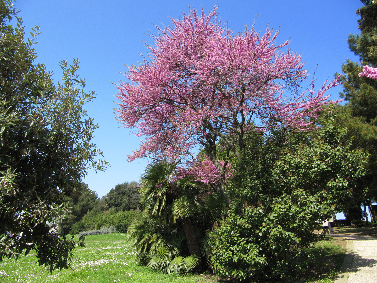 Primavera: esplosione di colori.