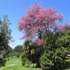 Primavera: esplosione di colori.