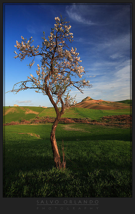 Primavera in arrivo...