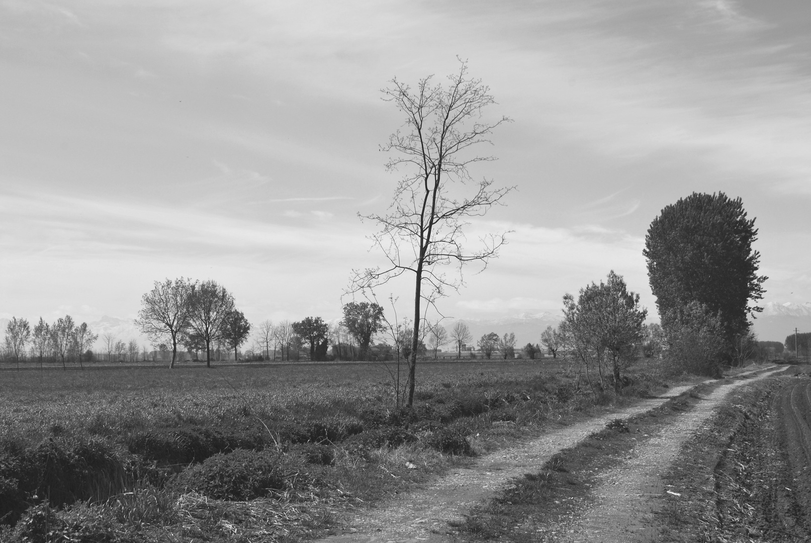 Primavera in bianco e nero