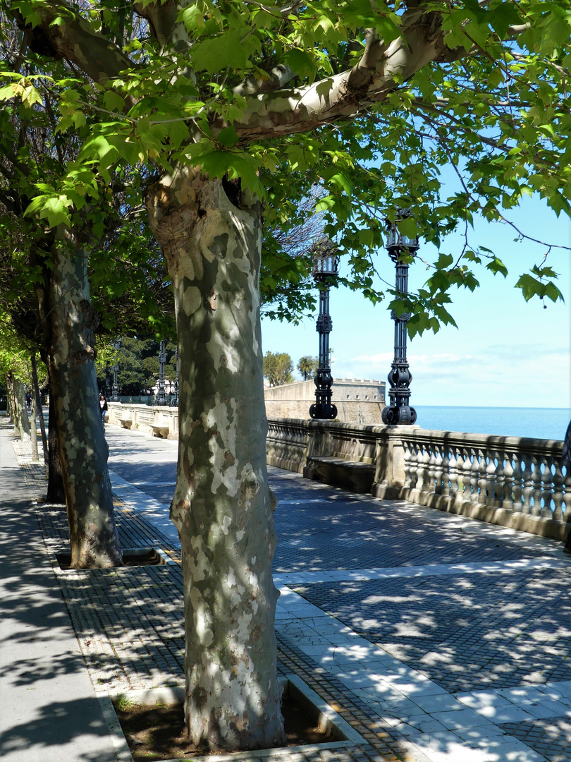 Primavera in Cádiz