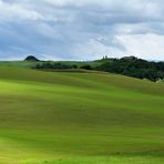 Primavera in campagna