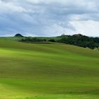 Primavera in campagna